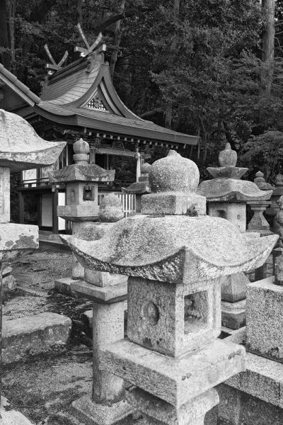 Flaherty, Dennis 아티스트의 Japan, Heguri-cho Byo-Do-Ji Kasuga Shrine작품입니다.